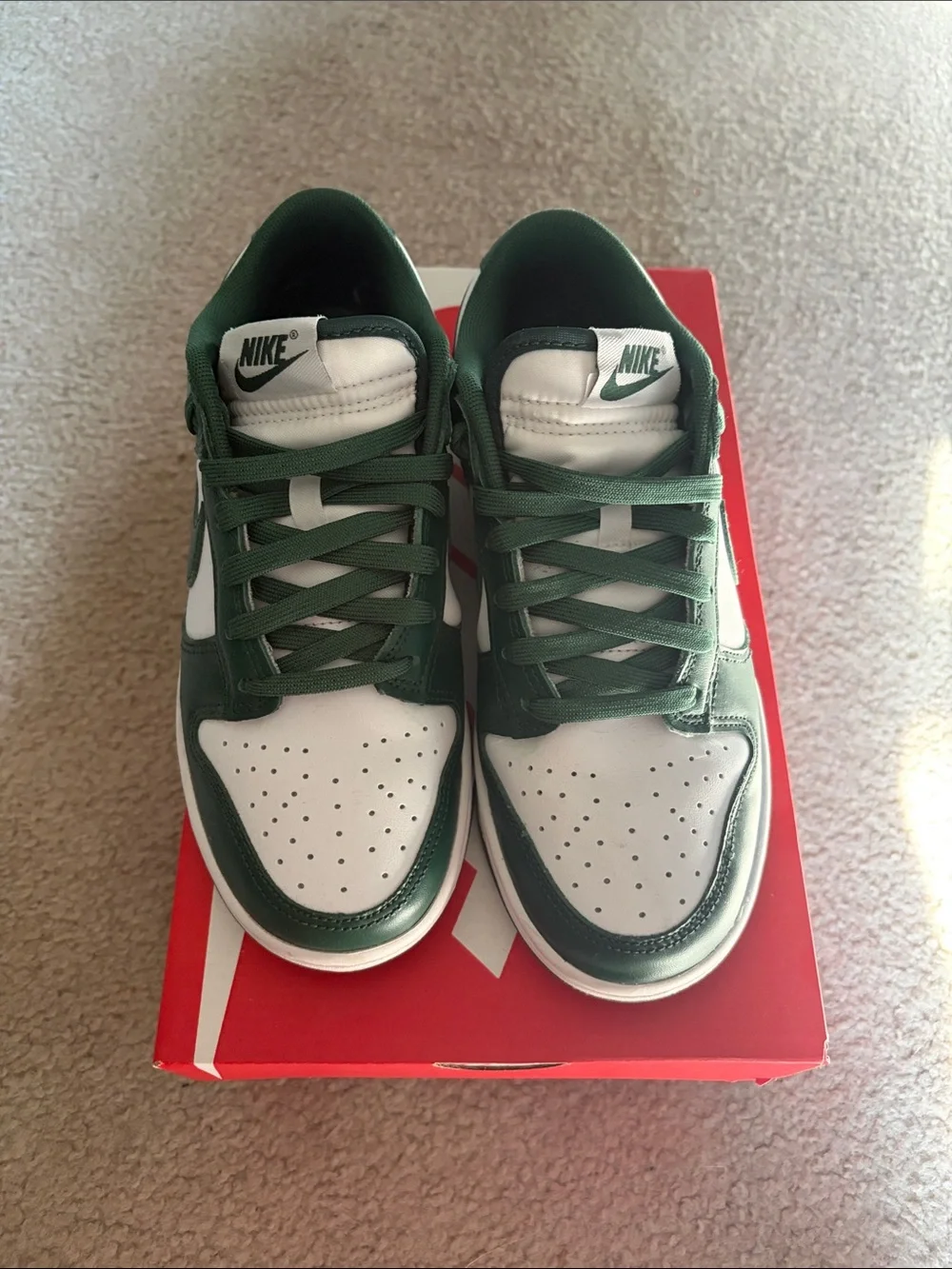Nike Michigan State Dunks
